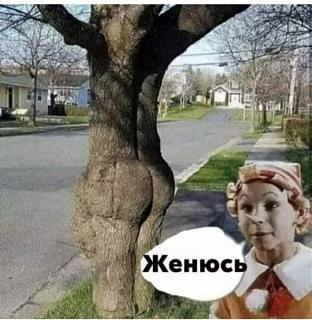 Повышатель настроения-zhenyus_37585.jpg