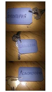 Просто прикольно-16471899.jpg