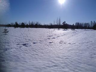 ДАЧА-img_20220301_103457.jpg
