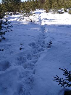 ДАЧА-img_20220301_112805.jpg