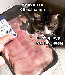 Черный юмор. Или не юмор.-vsei-pravdy.jpg