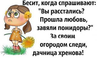 Повышатель настроения-getimage-82-.jpg