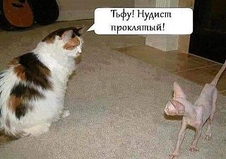 Просто прикольно-nudist.jpg