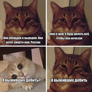 Черный юмор. Или не юмор.-dm-cat.jpg
