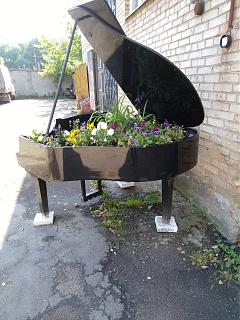 Черный юмор. Или не юмор.-img_20220711_090341.jpg