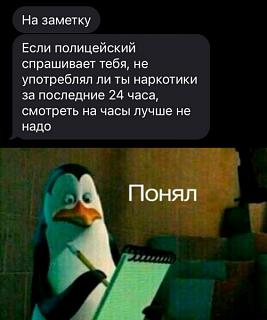 Повышатель настроения-1661155635.jpg