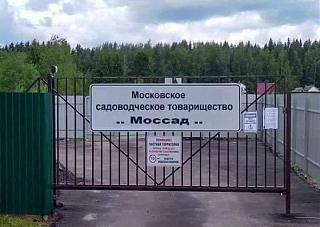 ДАЧА-mossad.jpg
