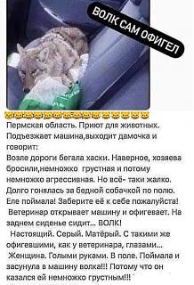 Повышатель настроения-mbe6uyh.jpeg