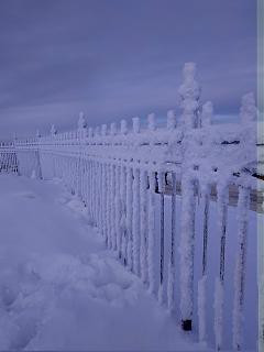 Красивые фотографии сделанные членами клуба-img_20230104_130600.jpg