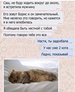 Повышатель настроения-dva-kota.jpg