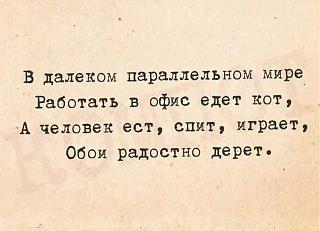 Повышатель настроения-rabotat-kot.jpg