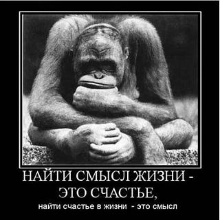 Афоризмы дня-smysl.jpg