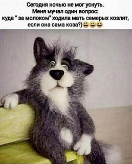 Просто прикольно-1677743574.jpg