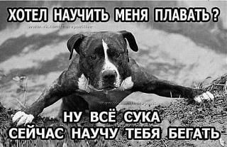 Повышатель настроения-1604072780.jpg