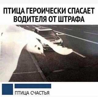 Пикчи на автомобильную тему-1683175164.jpg