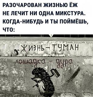 Повышатель настроения-2023-06-25-mixnews-117-1.jpg