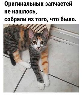 Запчасти какой фирмы установить вместо оригинала?-screenshot_2023-09-17-08-07-49-82.jpg