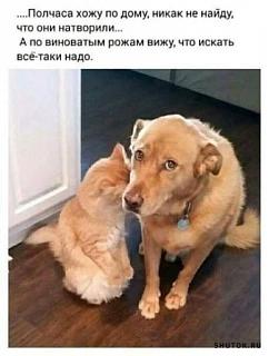 Просто прикольно-1665480544.jpg