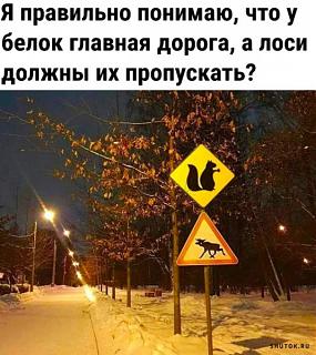 Пикчи на автомобильную тему-1698654024.jpg