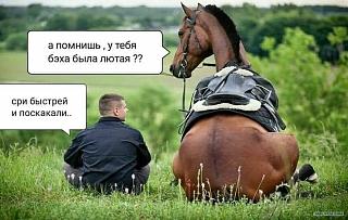 Повышатель настроения-906f5561-6ae7-4559-8488-e6824bbb84f5.jpg