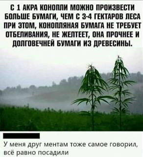 Повышатель настроения-1711573168.jpg