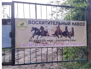 Повышатель настроения-33.jpg