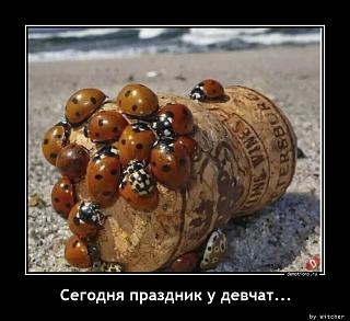 Повышатель настроения-1649753097_segodnya-prazdnik-u