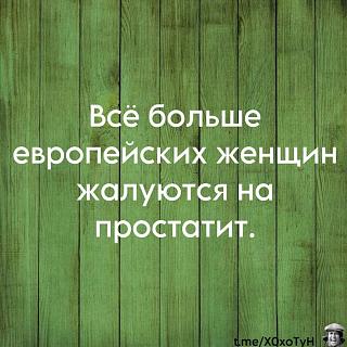 Повышатель настроения-img-20241106-wa0001.jpg