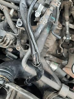 Генератор-zobrazhennya_viber_2025-10-25_16-54-32